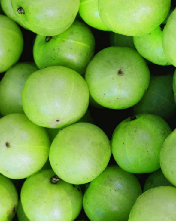 Shampoing Amla Volume - Format Voyage - Image 3