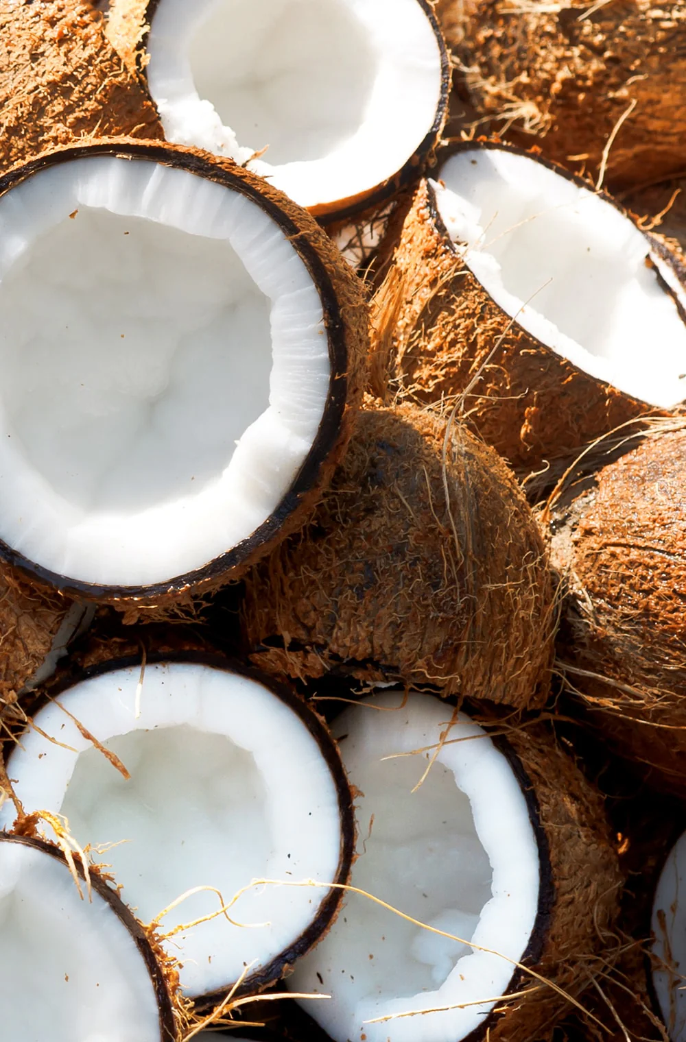 Après-Shampoing Coconut Shikakai - Image 4